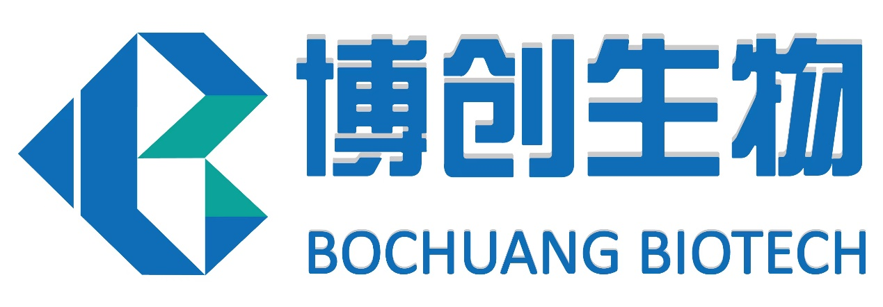 博创生物完成 Pre-A + 轮融资 以胶原可控组装技术赋能医疗新发展